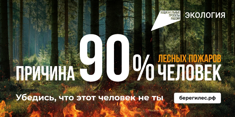Причина 90% лесных пожаров - человек